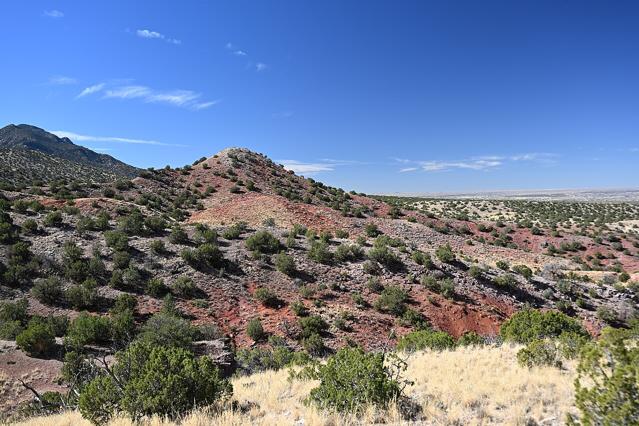 Cibola National Forest